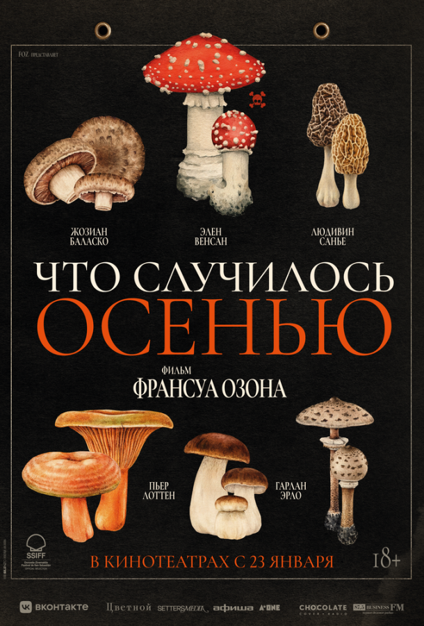 Фильм Что случилось осенью (2024) смотреть онлайн в HD качестве